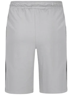 Hot Bigdude 65 Varsity Shorts Grey/Charcoal Shorts