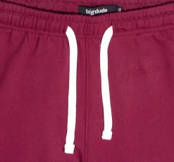 Clearance Bigdude Basic Joggers Burgundy Sweatpants