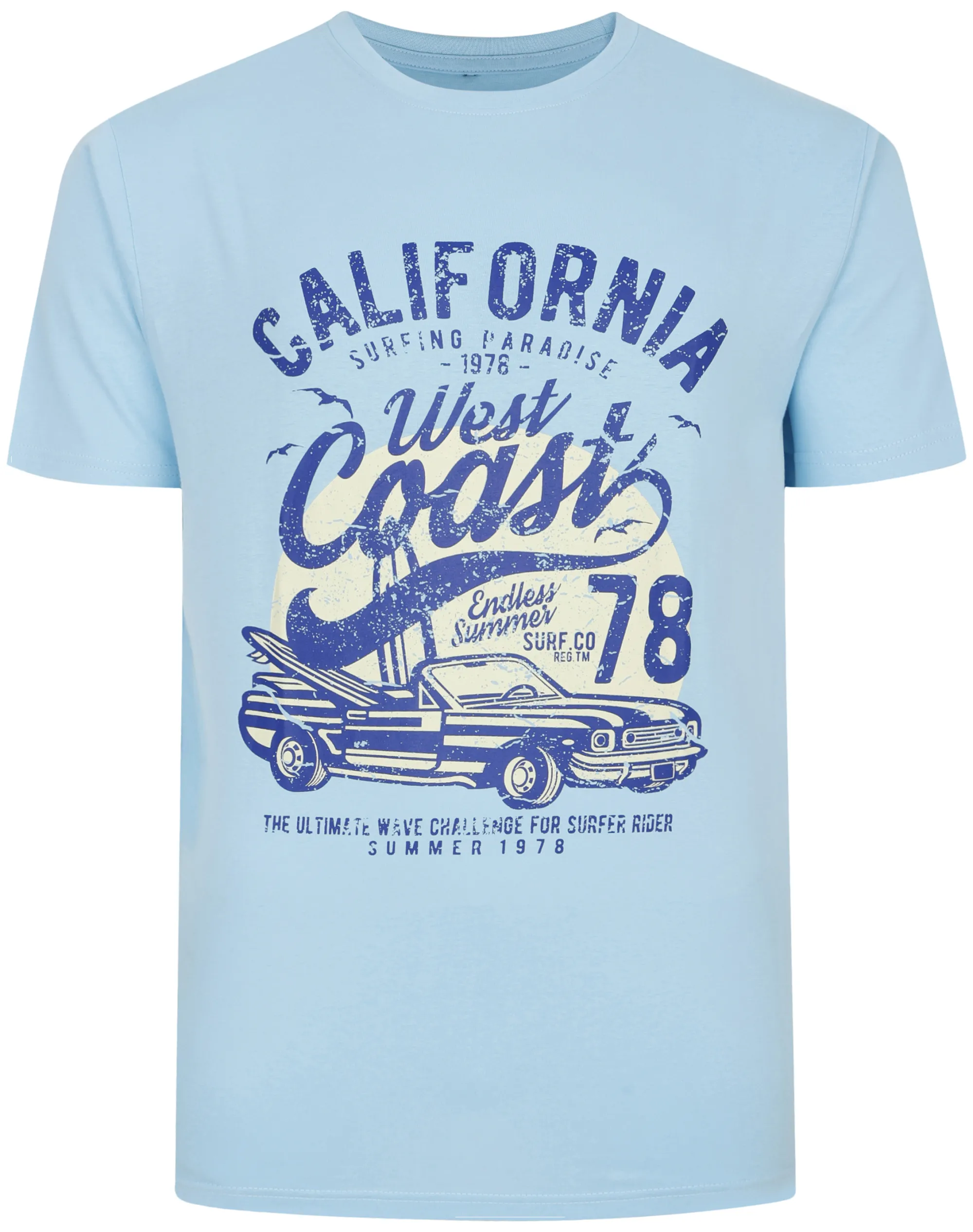 New Bigdude California Print T-Shirt Light Blue T-shirts