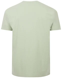 Best Bigdude California Print T-Shirt Light Green T-shirts