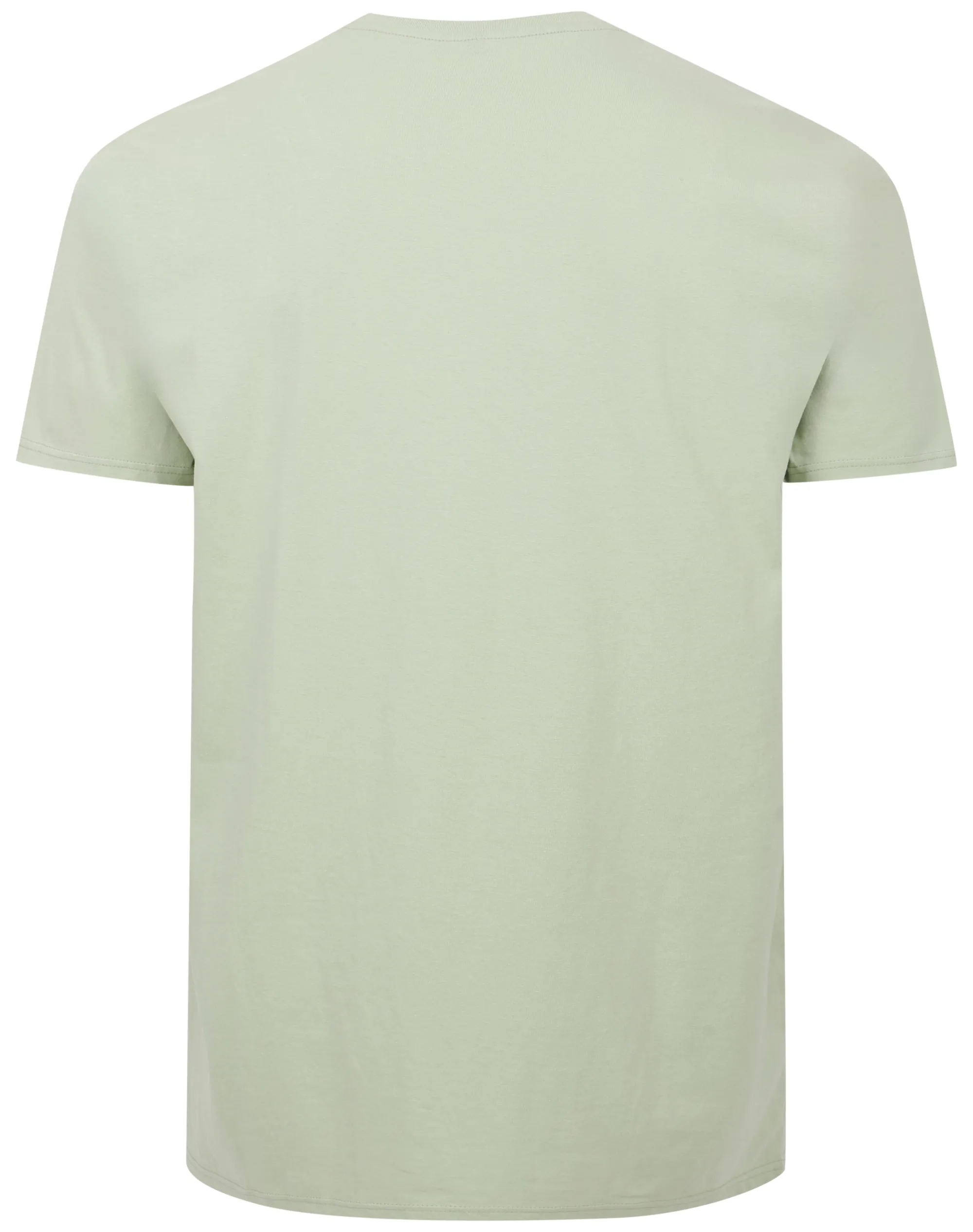 Best Bigdude California Print T-Shirt Light Green T-shirts