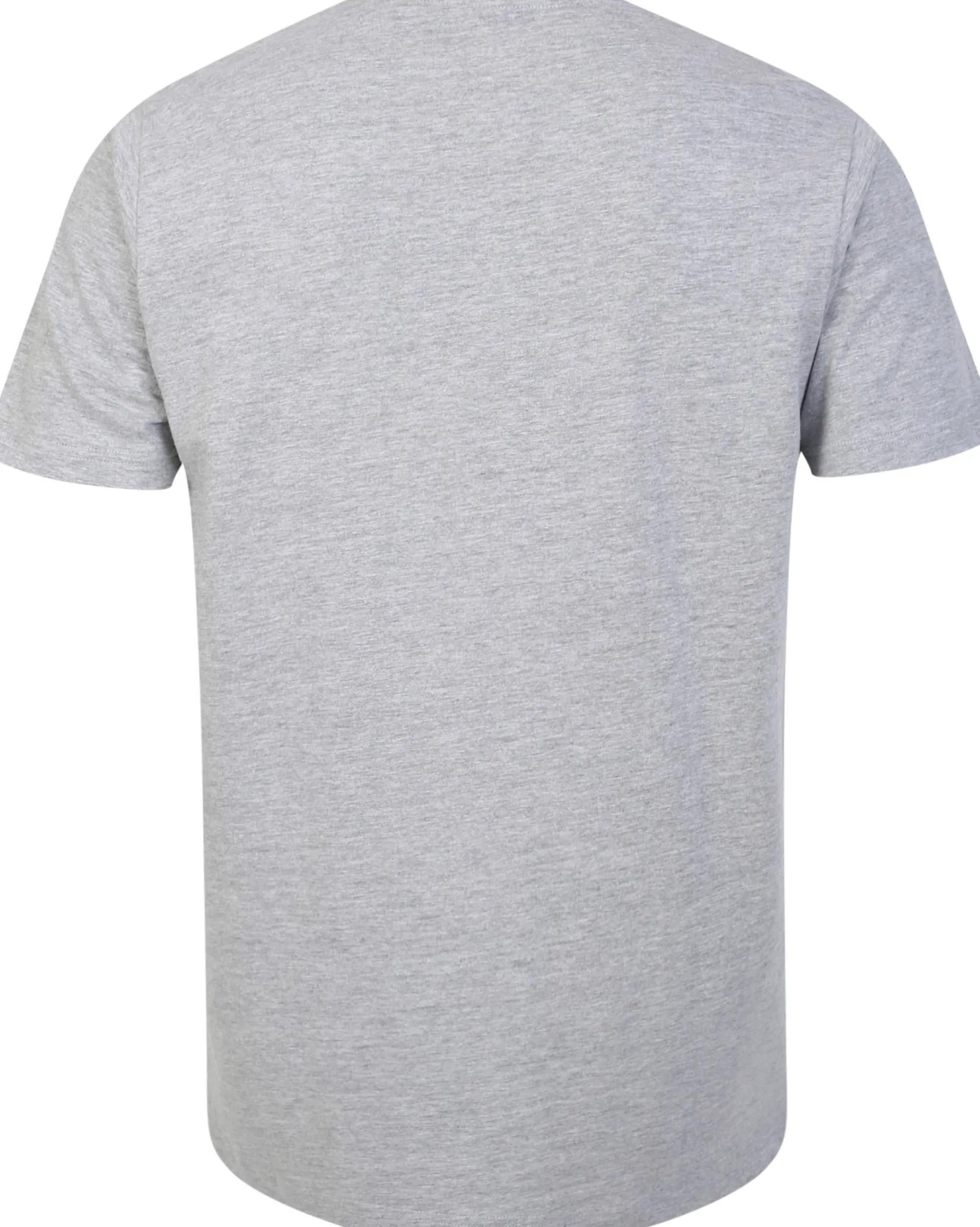 Best Bigdude Plain Crew Neck T-Shirt Grey T-shirts