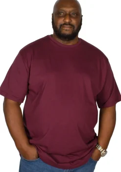 New Bigdude Plain Crew Neck T-Shirt Burgundy T-shirts