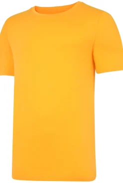 Online Bigdude Plain Crew Neck T-Shirt Orange Tall T-shirts