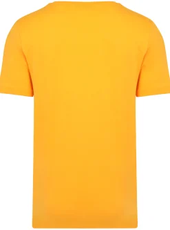 Online Bigdude Plain Crew Neck T-Shirt Orange Tall T-shirts